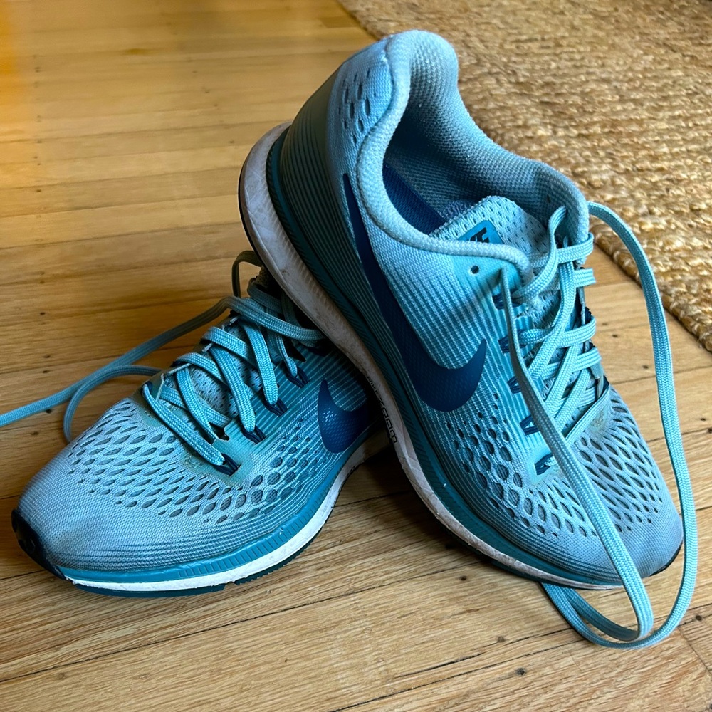 Nike Pegasus running shoes